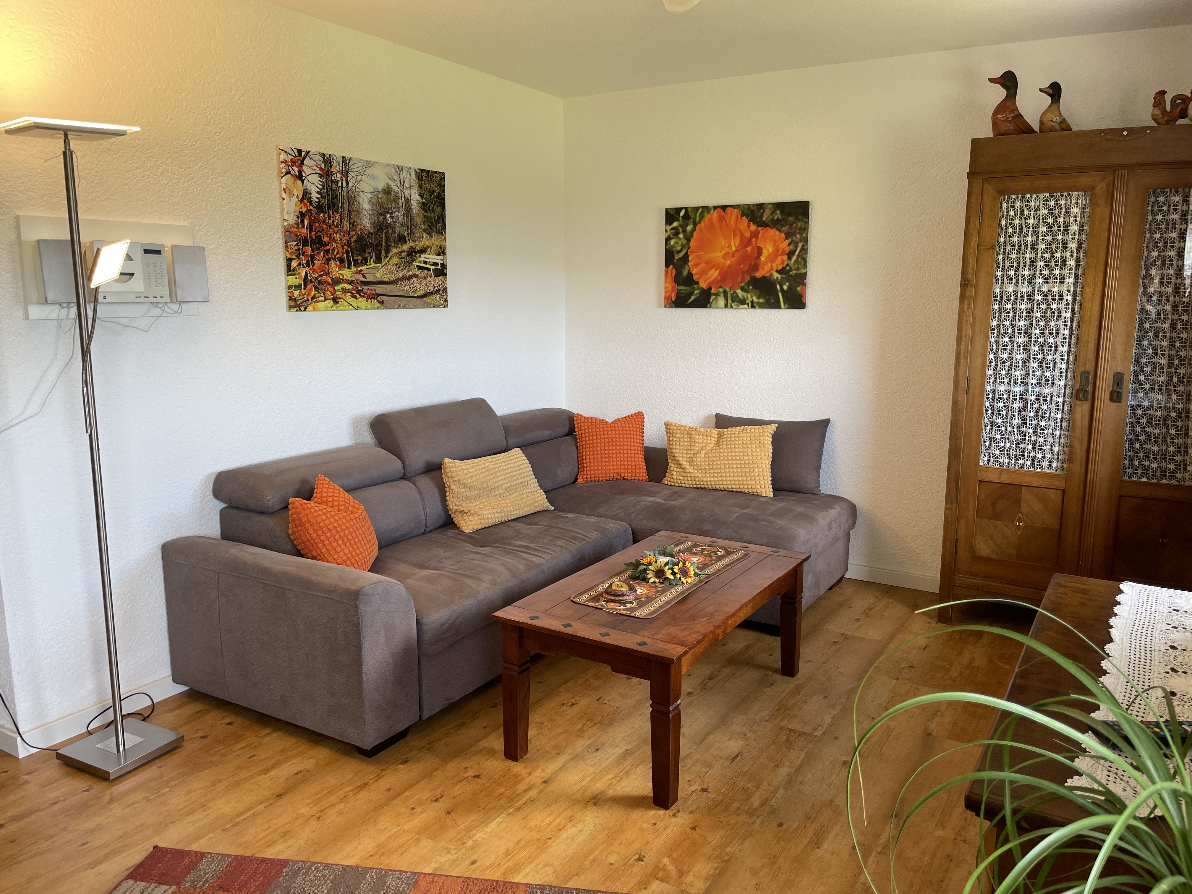 Gemütliches Wohnzimmer, Schlafsofa, Schlafcouch