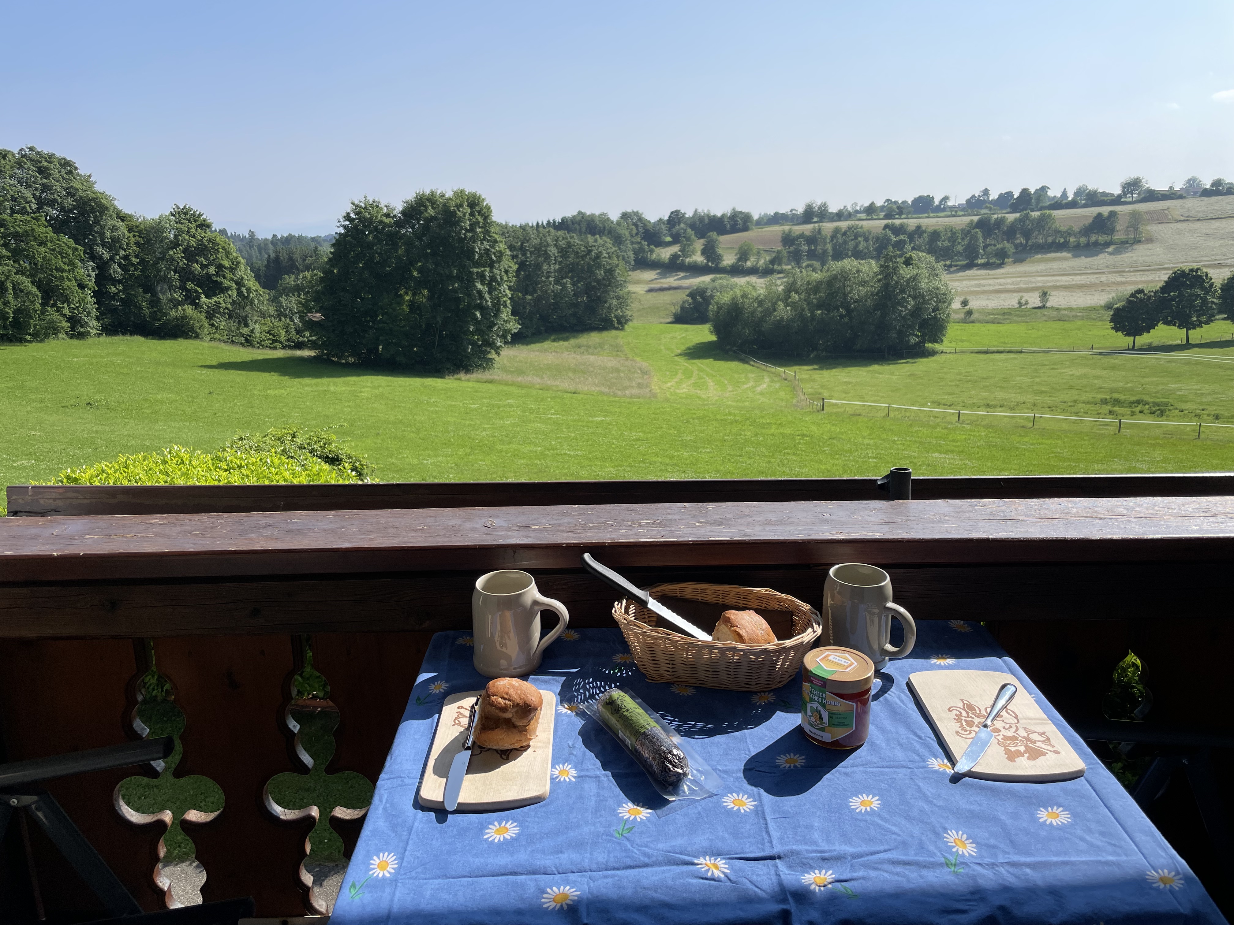 Balkon mit Alpensicht, Aussicht in die Natur, Schwarzwald, Natur, unverbaut