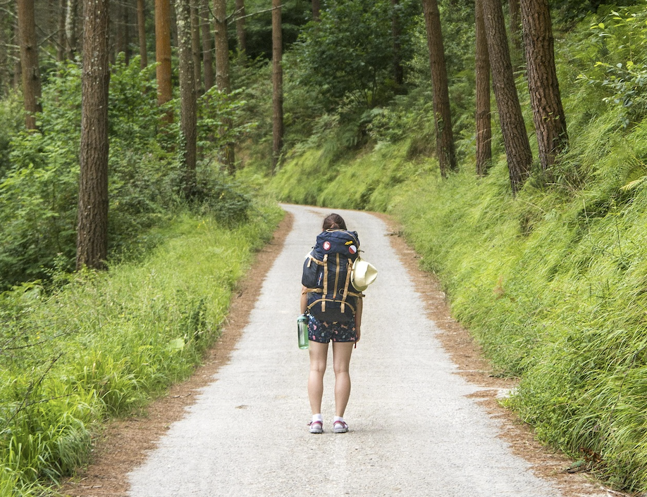 Wanderwege, Wolfspfad, Themenwege, Themenpfade